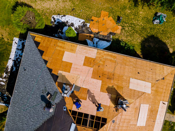 Roof Waterproofing Services in Oxford, MS
